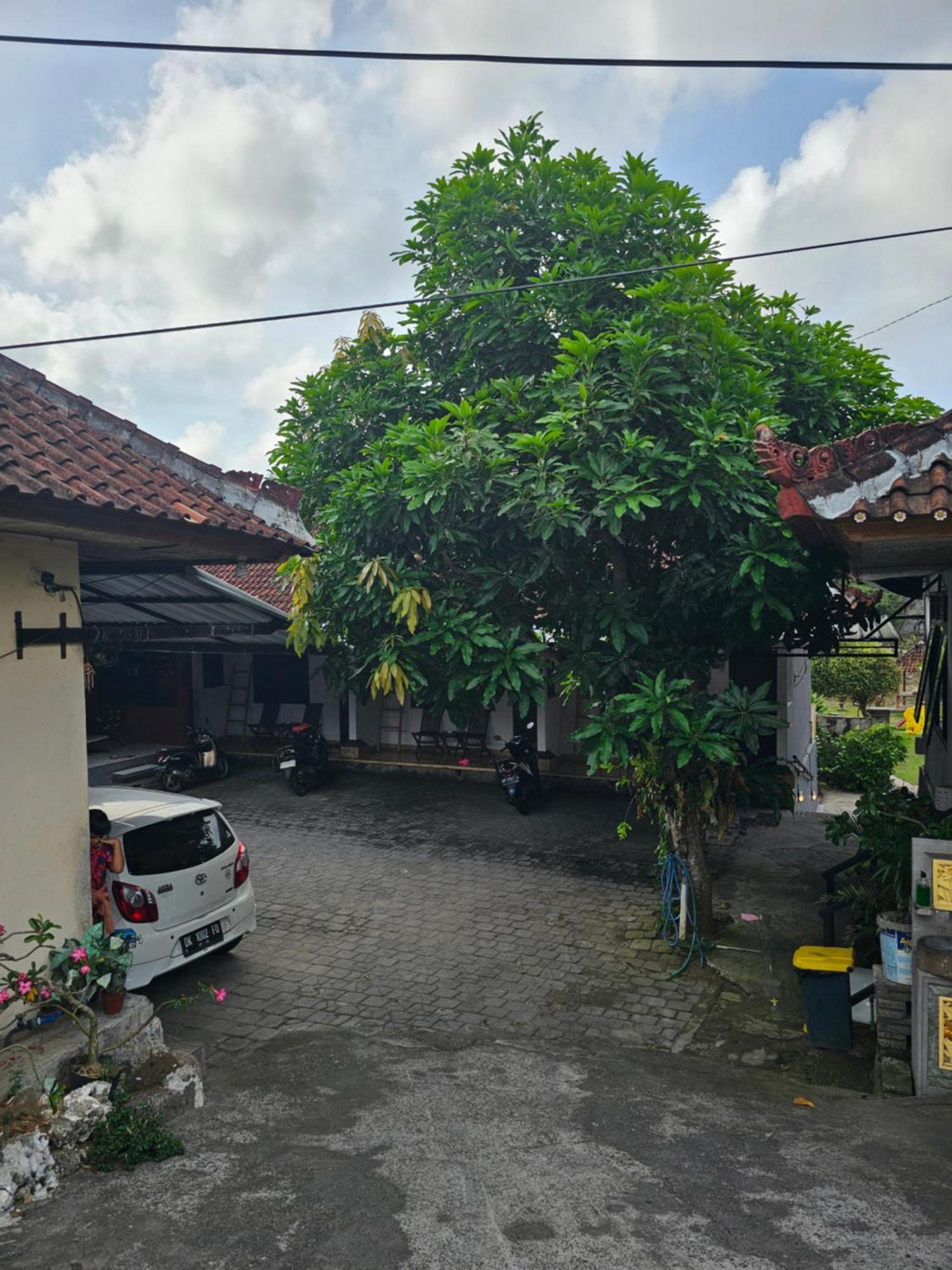 Padang-Padang Sari Homestay Uluwatu  Bilik gambar